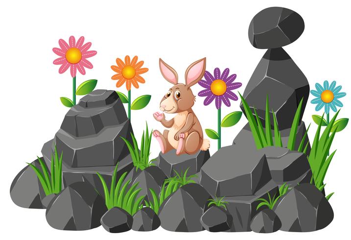 Cute rabbit sitting on rocks vector
