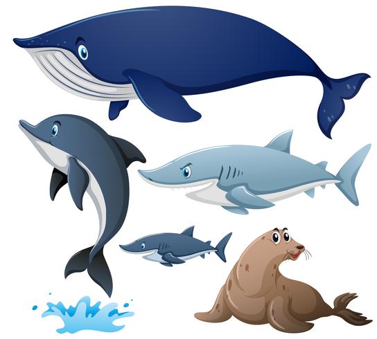 Tiburones y otros animales marinos. vector