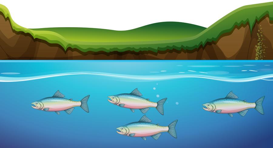 Scene with fish under the river vector