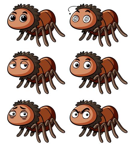 Brown spider with different emotions vector
