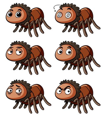 Brown spider with different emotions