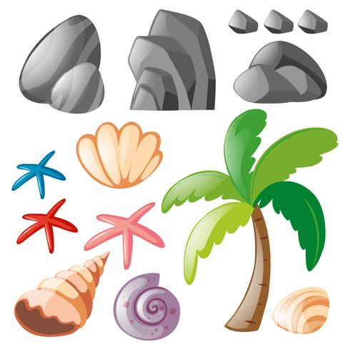 Set of rocks and seashells vector