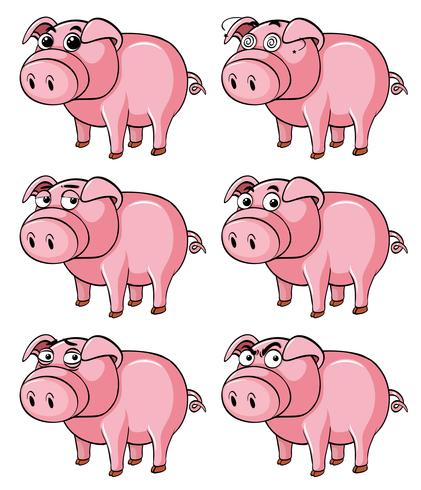 Pig with different facial expressions vector