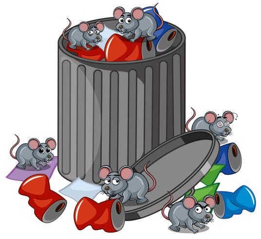 Many rats searching trashcan vector