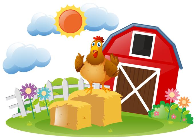 Rooster in the farm vector