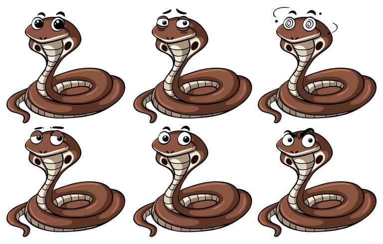 Cobra snakes with different emotions vector