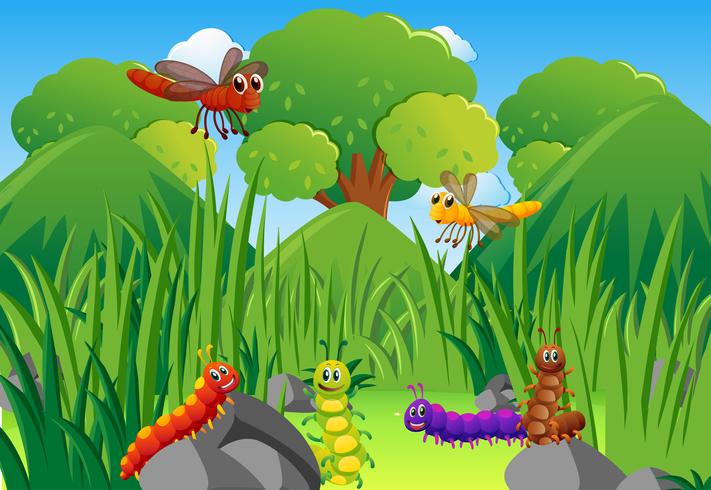 Caterpillars and dragonflies in garden vector