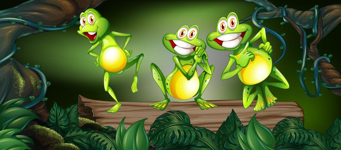 Tres ranas bailando en tronco en la jungla vector