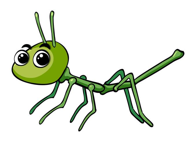 Stickinsect sobre fondo blanco vector