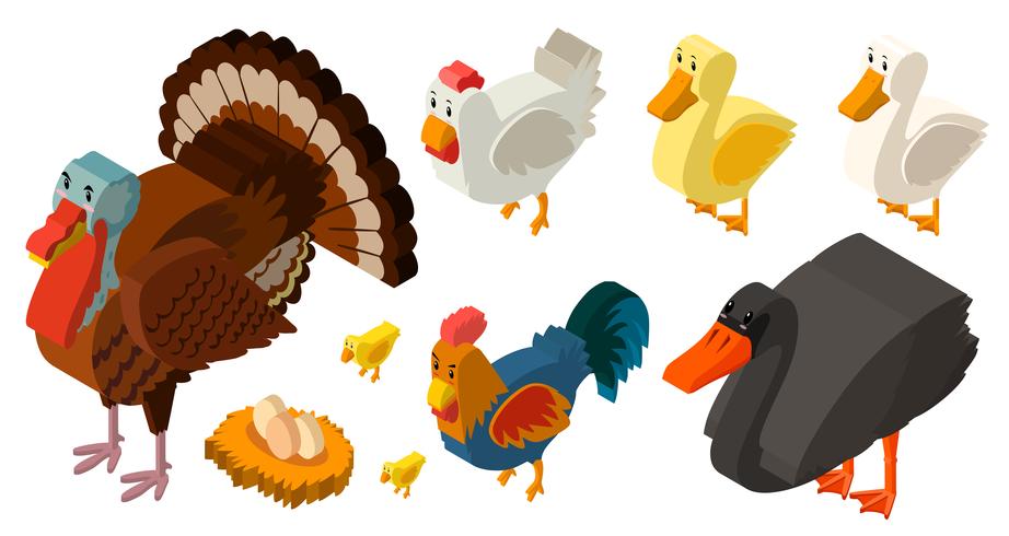 3D design for different types of farm birds vector