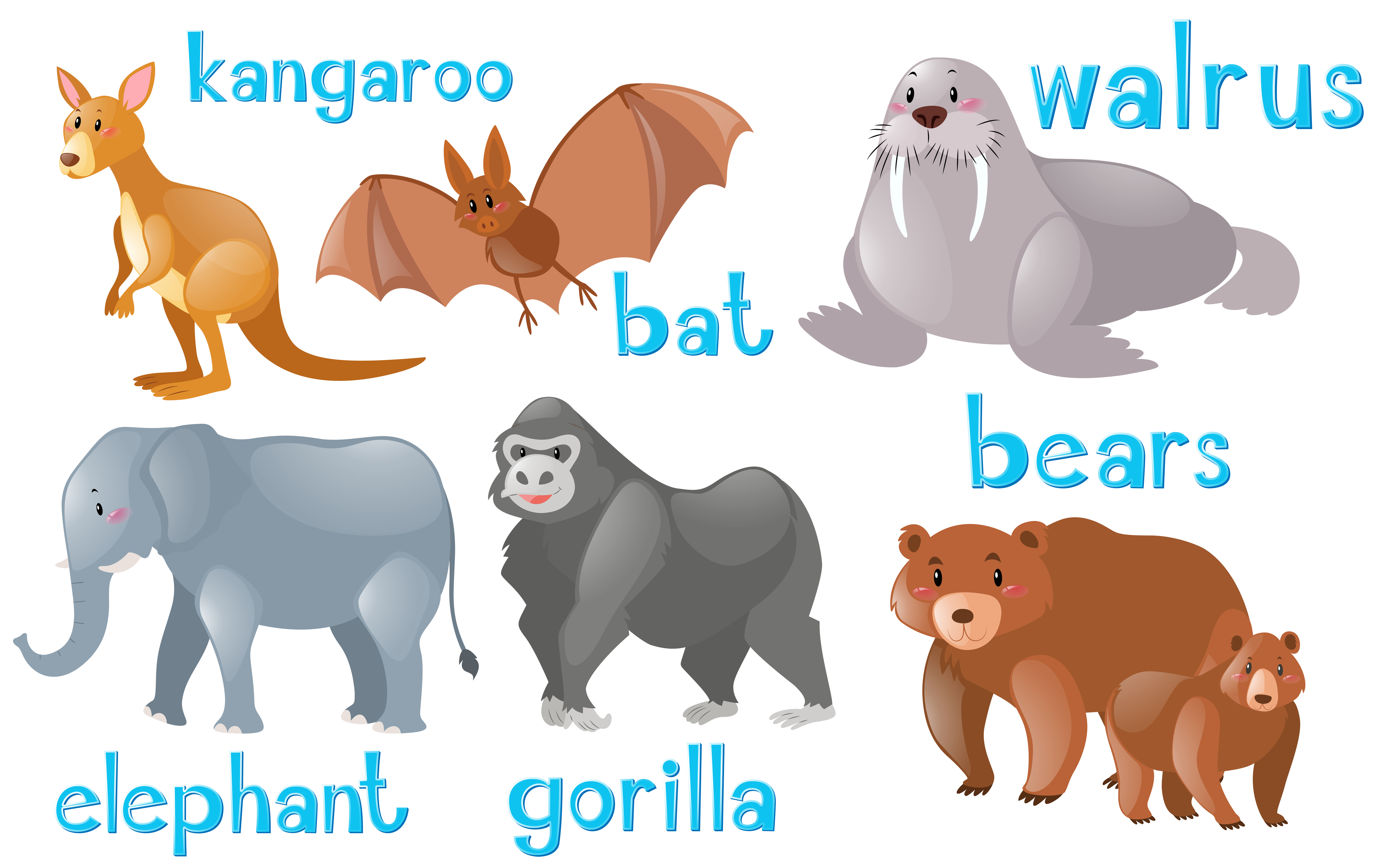 Different types of wild animals 369731 Download Free
