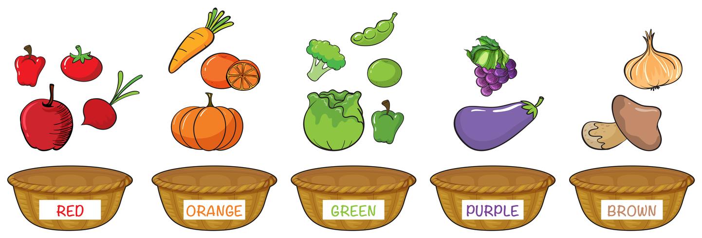 Diferentes colores de frutas y verduras. vector