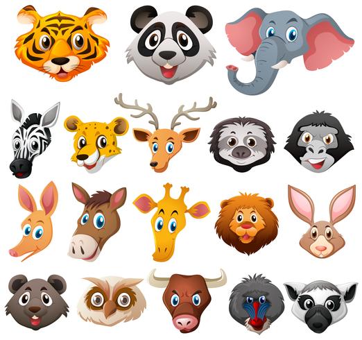 Different faces of wild animals vector