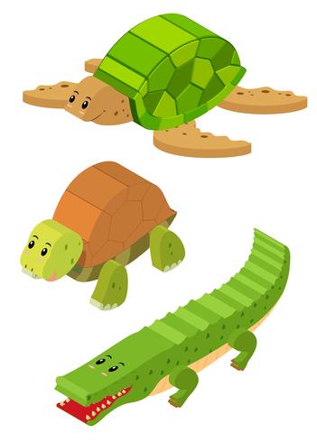 Diseño 3D para tortuga y cocodrilo. vector