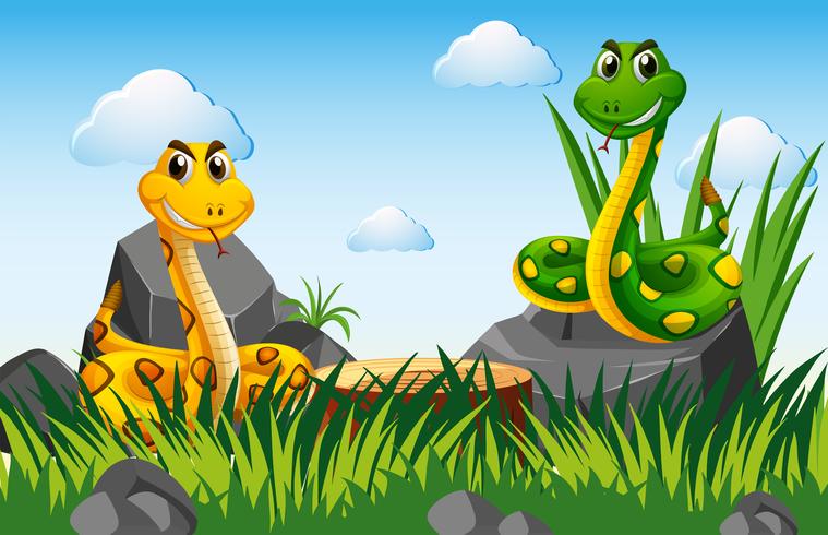 Two snakes in the garden vector