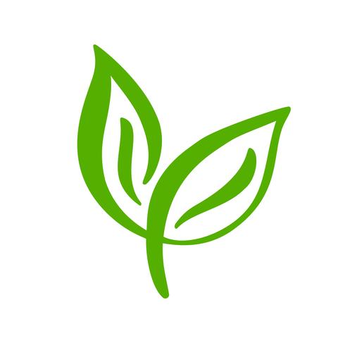 Logotipo de la hoja verde del té. Icono de vector de elemento de naturaleza ecología. Bio vegano caligrafía bio dibujado a mano ilustración