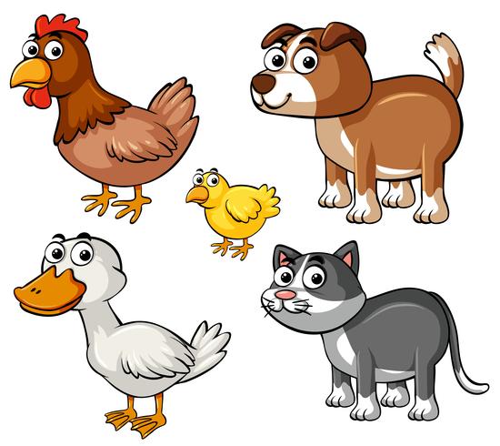 Different types of farm animals 369908 Vector Art at Vecteezy