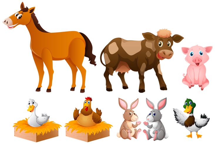 Diferentes tipos de animales de granja. vector