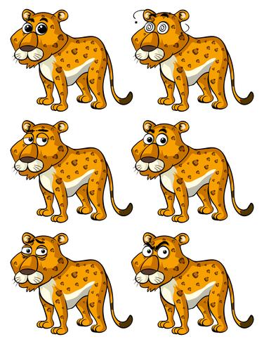 Cheetah with different emotions vector