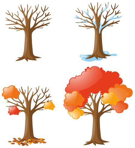 Árbol en diferentes temporadas. vector