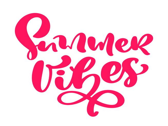 Summer vibes hand drawn lettering calligraphy vector text