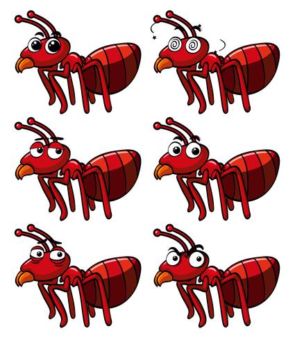 Red ant with different facial expressions vector