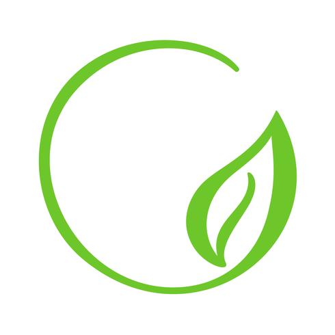 Logo of green leaf of tea. Ecology nature element vector icon. Eco vegan bio calligraphy hand drawn illustration
