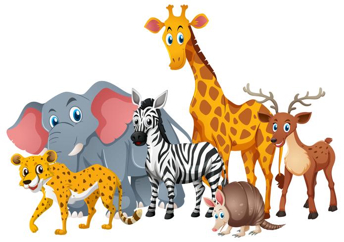 Wild animals together in group vector