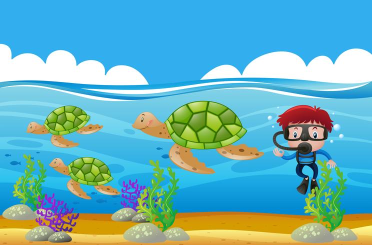 Scuba diver diving underwater with turtles vector