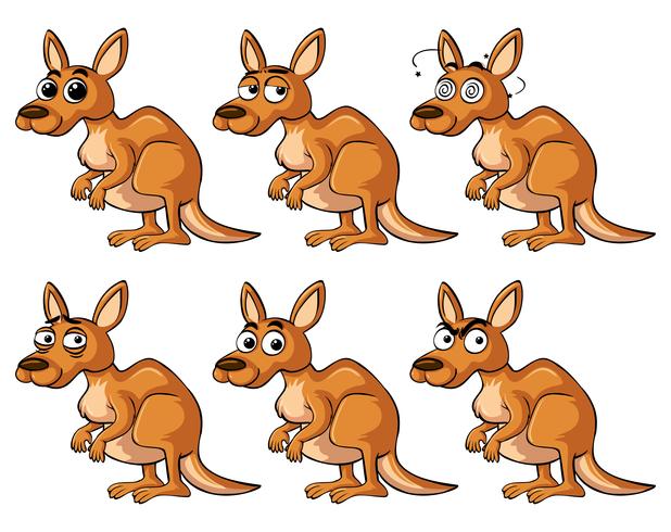 Kangaroo with different emotions vector