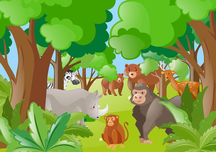 Animales salvajes en el bosque verde vector