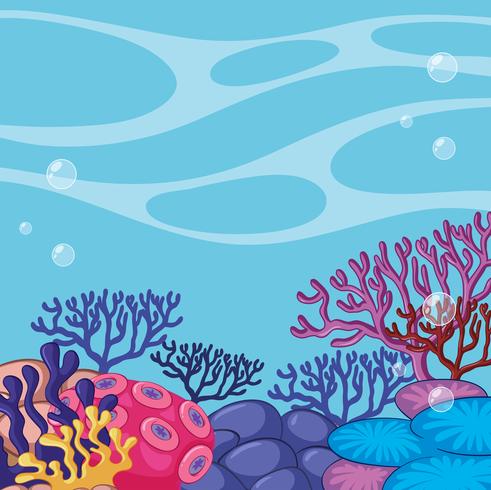Scene with colorful reef underwater vector
