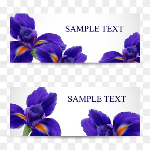 Un conjunto de tarjetas o postales con flores realistas de iris. vector