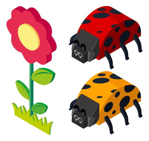 3D design for beetles and flower vector