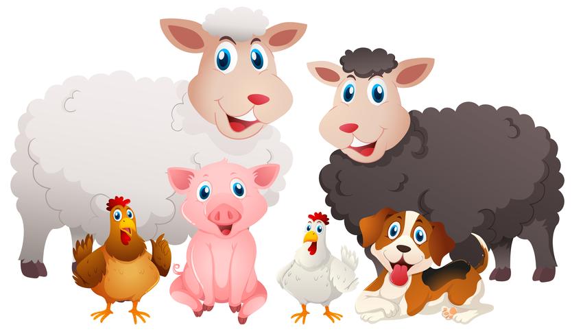 Different types of farm animals 370107 Vector Art at Vecteezy