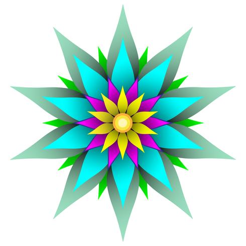 Beautiful symmetric geometric flower vector illustration