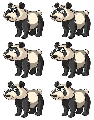 Panda con diferentes expresiones faciales. vector