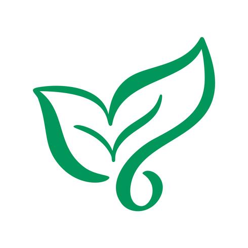 Logotipo de la hoja verde del té. Icono de vector de elemento de naturaleza ecología. Bio vegano caligrafía bio dibujado a mano ilustración