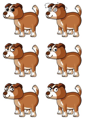 Brown dog with different facial emotions vector