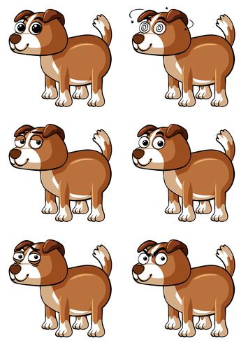 Perro marrón con diferentes emociones faciales. vector