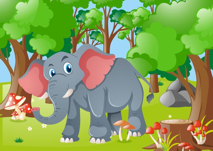 Elephant in the forest vector