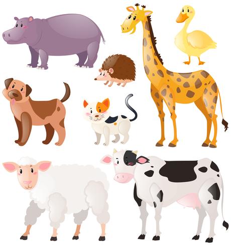 Conjunto de animales salvajes vector