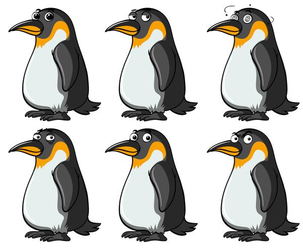 Pingüinos con diferentes expresiones faciales. vector