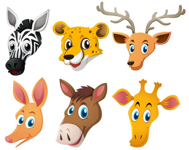 Animal heads on white background vector