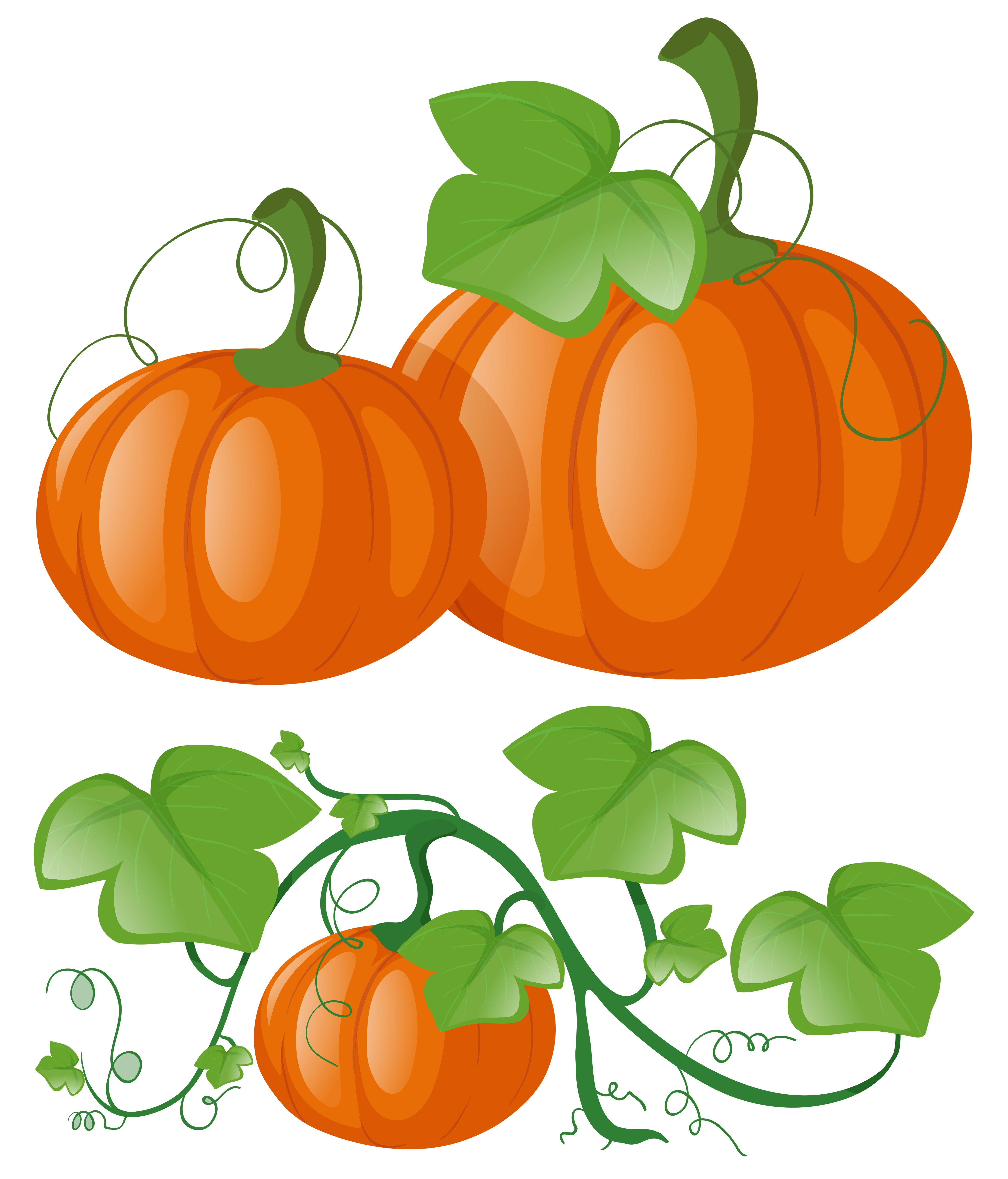 Pumpkin Vines Free Vector Art (14 Free Downloads)