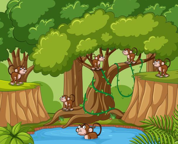 Muchos monos en el bosque vector