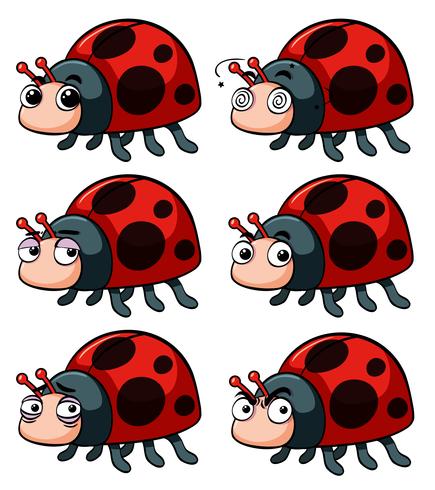 Different emotions of ladybugs vector