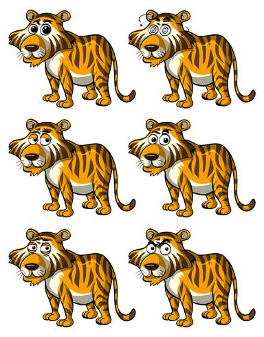 Tiger with different facial expressions vector