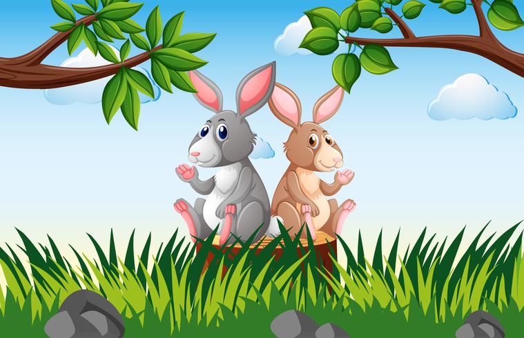 Two rabbits on the stump 370472 Vector Art at Vecteezy Two rabbits on the stump 370472 Vector Art at Vecteezy