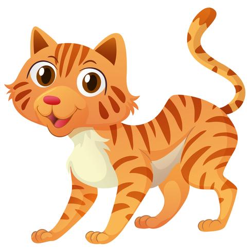 Little cat on white background vector